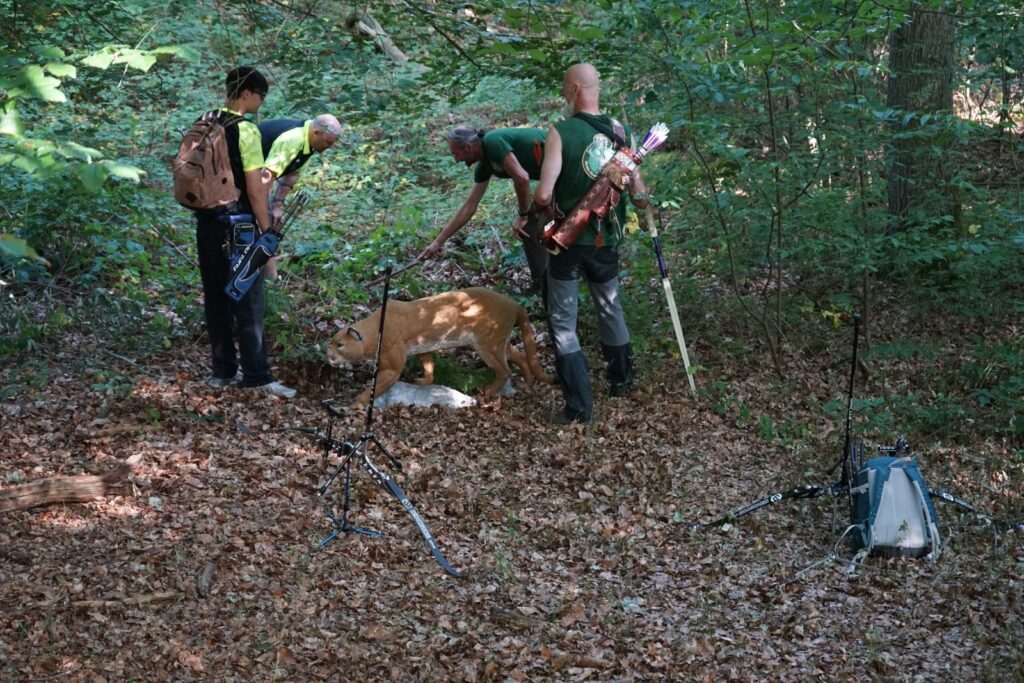 Uitslagen dsc01172