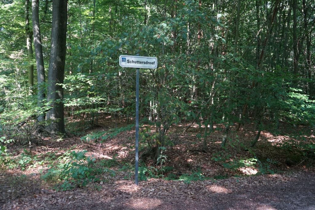 Uitslagen dsc01208