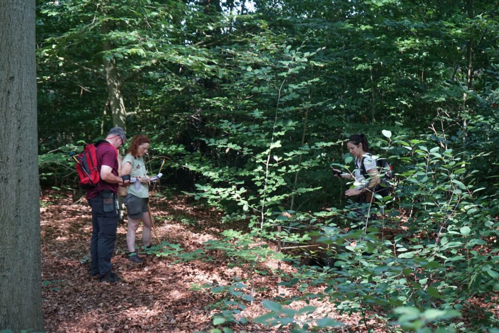 Uitslagen dsc01214